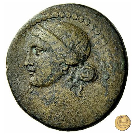 550/3 - bronzo Q. Oppius 88 a.C. (Laodiceia)